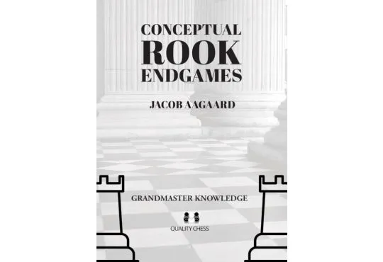 Conceptual Rook Endgames